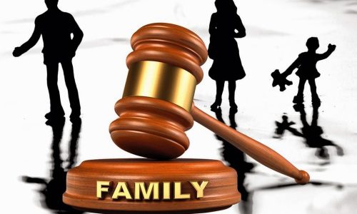 The-ins-and-outs-of-family-law